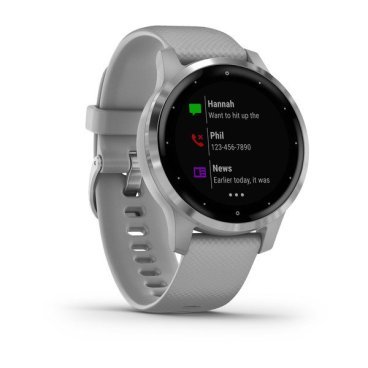Смарт-часы Garmin vivoactive 4S, GPS, Wi-Fi, E.EU, Powder Gray/Silver, 010-02172-03