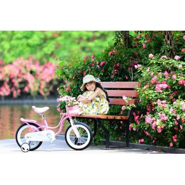 Детский велосипед Royal Baby Little Swan NEW 16"